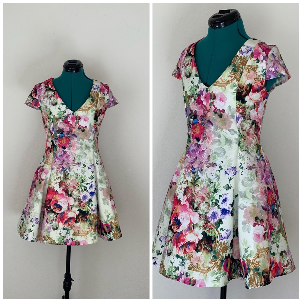 Floral True Decadence Mini Tea V-neck dress Sz 10